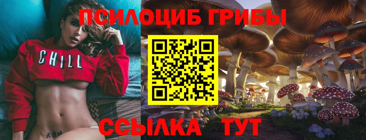 Псилоцибиновые грибы мицелий  Вход с VPN  Североморск 